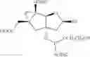 Fig. 22 - Tricyclic nucleosides and oligomeric compounds prepared therefrom