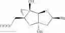 Fig. 25 - Tricyclic nucleosides and oligomeric compounds prepared therefrom