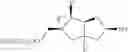 Fig. 30 - Tricyclic nucleosides and oligomeric compounds prepared therefrom