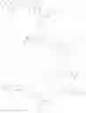 Fig. 100 - Drug-conjugates, conjugation methods, and uses thereof