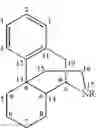 Fig. 03 - Preparation of normorphinans