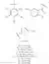 Fig. 31 - 2-phenyl benzothiazole linked imidazole compounds as potential anticancer agents and process for the preparation thereof