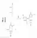 Fig. 07 - Fused ring indeno compounds for preparation of photochromic compounds