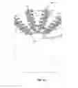 Fig. 05 - Systems and methods to gather and analyze electroencephalographic data