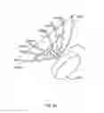 Fig. 41 - Systems and methods to gather and analyze electroencephalographic data