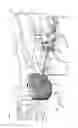 Fig. 06 - Method and apparatus for adjustable earpieces in an MRI system