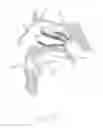 Fig. 02 - System and method for facilitating intranasal guidance