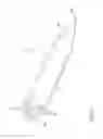 Fig. 03 - Optogenetic probe