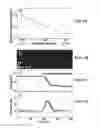 Fig. 09 - System and method useful for sarcomere imaging via objective-based microscopy