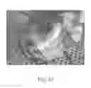 Fig. 15 - Tissue illumination system, device, and method