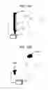Fig. 26 - Stimulus presentation system