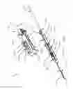 Fig. 02 - Biopsy device with translating valve member