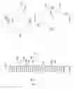 Fig. 05 - NEEDLE BIOPSY SYSTEMS AND METHODS