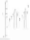Fig. 07 - NEEDLE BIOPSY SYSTEMS AND METHODS
