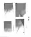 Fig. 56 - Method for providing directional therapy to skeletal joints
