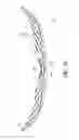 Fig. 06 - Orthopedic device for treatment of the back
