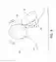 Fig. 09 - Systems and methods for decompression and elliptical traction of the cervical and thoracic spine