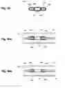 Fig. 24 - Device and method for establishing an artificial arterio-venous fistula
