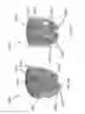 Fig. 37 - RECONSTITUTION DEVICE