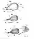 Fig. 74 - Inflatable medical devices