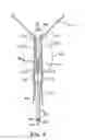 Fig. 12 - NEEDLELESS DELIVERY SYSTEMS