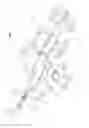 Fig. 02 - Surgical multi-tool and method of use