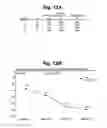 Fig. 13 - Implant tool and improved electrode design for minimally invasive procedure