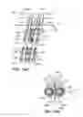 Fig. 100 - Systems and methods for positioning an elongate member inside a body