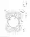 Fig. 07 - PACIFIER COMPRISING A SHIELD, AND SHIELD