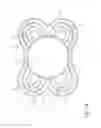 Fig. 10 - PACIFIER COMPRISING A SHIELD, AND SHIELD