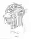 Fig. 02 - INDUCING NEUROGENESIS WITHIN A HUMAN BRAIN