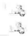 Fig. 15 - Robotic platform and method for performing multiple functions in agricultural systems