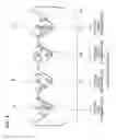 Fig. 05 - Shift range switching apparatus