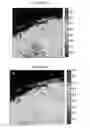 Fig. 12 - Method for analyzing biological specimens by spectral imaging