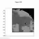 Fig. 17 - Method for analyzing biological specimens by spectral imaging