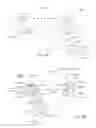 Fig. 13 - ENHANCED SYSTEM AND METHOD FOR OFFERING AND ACCEPTING DISCOUNTS ON INVOICES IN A PAYMENT SYSTEM