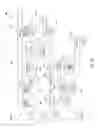 Fig. 45 - ENHANCED SYSTEM AND METHOD FOR OFFERING AND ACCEPTING DISCOUNTS ON INVOICES IN A PAYMENT SYSTEM