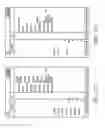 Fig. 09 - System and method for selectively displaying market information related to a plurality of tradeable objects