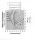 Fig. 44 - Neural network frequency control and compensation of control voltage linearity