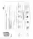 Fig. 05 - DATA MANAGEMENT VIRTUALIZATION