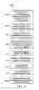 Fig. 09 - DECLARATIVE AUTHORIZATIONS FOR SQL DATA MANIPULATION