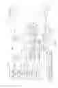 Fig. 10 - Deep cloning of objects using binary format