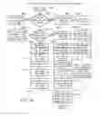 Fig. 28 - Intelligent network streaming and execution system for conventionally coded applications