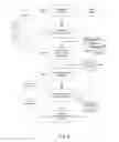 Fig. 07 - Anticipatory Environment for Collaboration and Data Sharing