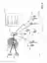 Fig. 07 - Physical layer caching for flexible MIMO cooperation in wireless networks