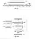 Fig. 12 - Vector exception code