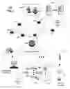 Fig. 02 - Broadcast interactive television system