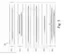 Fig. 04 - Method and system for anonymization in continuous location-based services