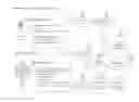 Fig. 01 - System and method for enabling pseudonymous lifelike social media interactions without using or linking to any uniquely identifiable user data and fully protecting users' privacy