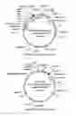 Fig. 09 - Biocontrol